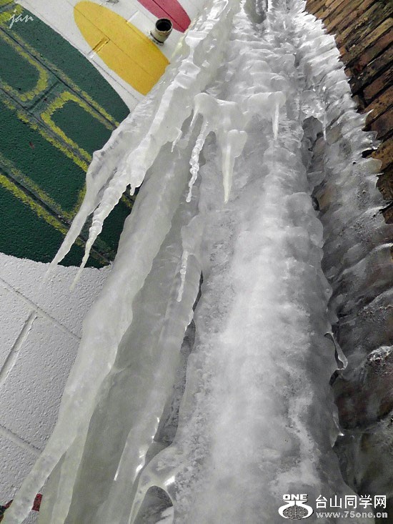 H3190005=.jpg