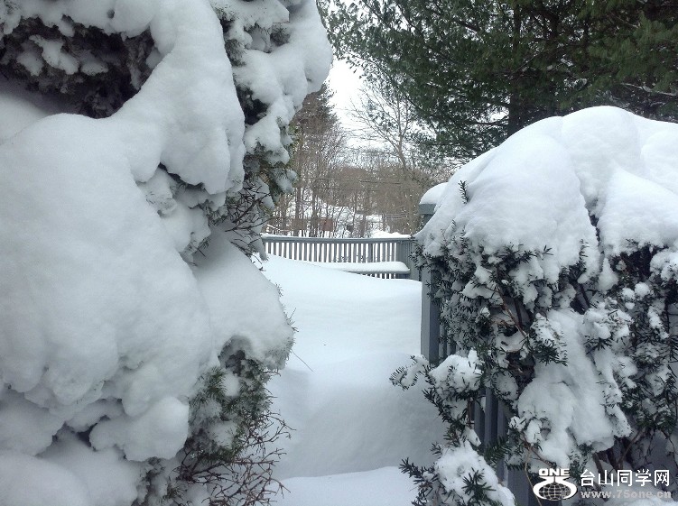 20130102_151445aa.jpg