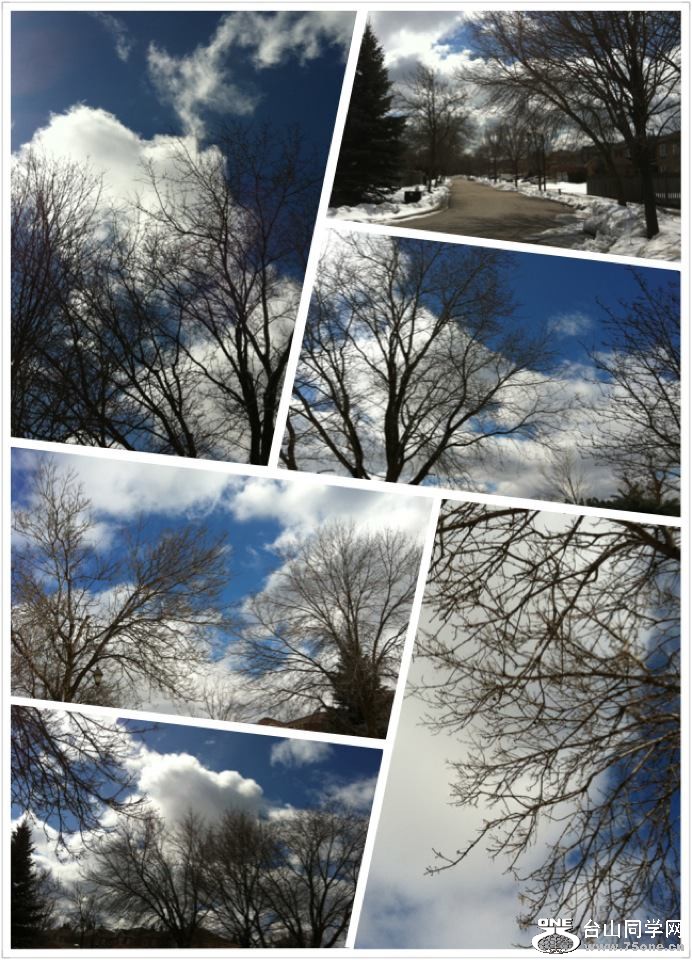 2013-03-23.jpg