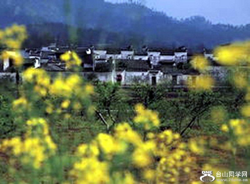 39fc966295fe145d_i_缩小大小.jpg
