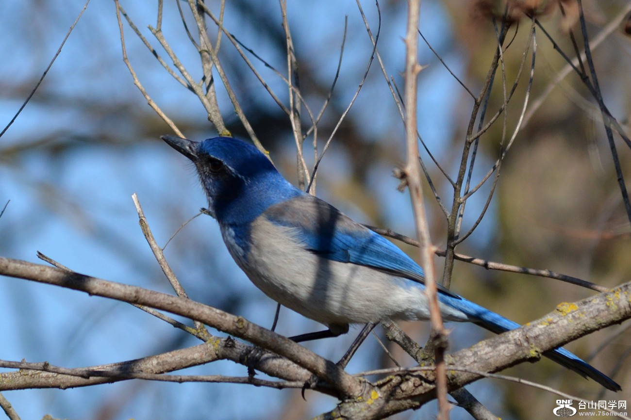 DSC_8140_15.jpg
