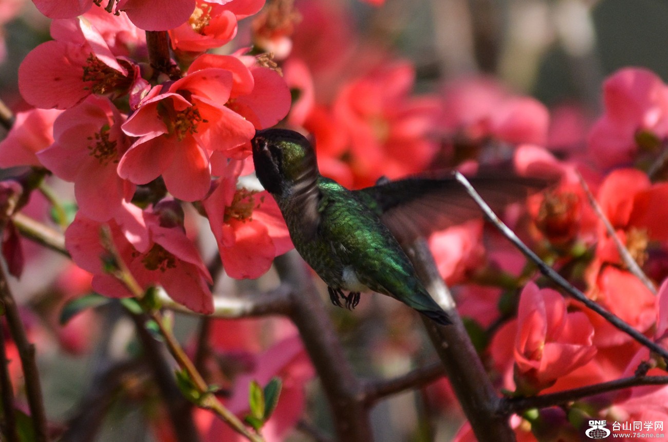 DSC_2975_23.jpg
