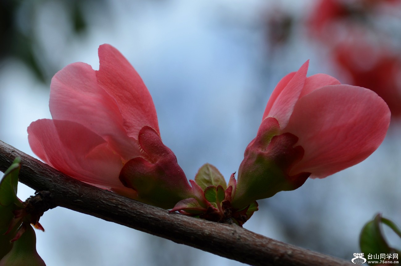DSC_2714_53.jpg