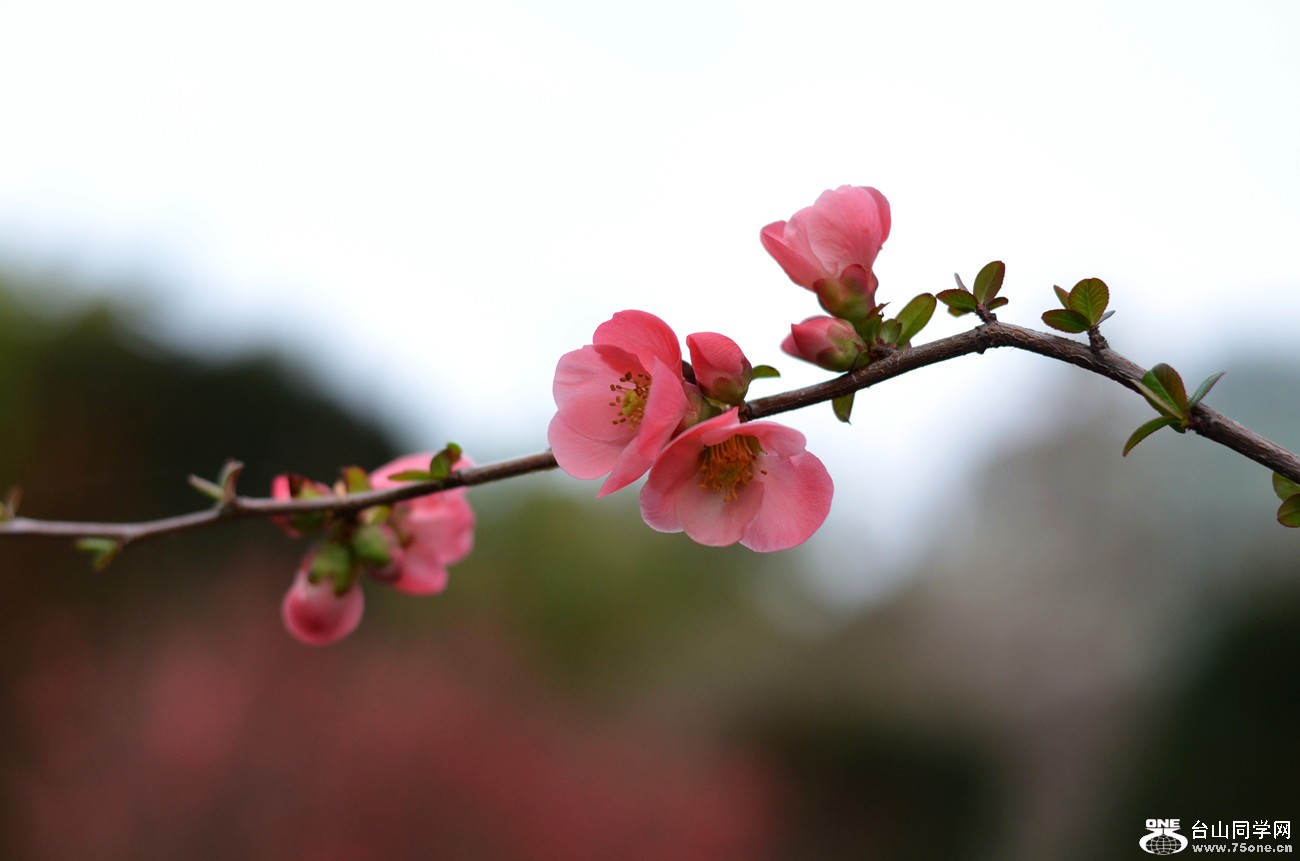 DSC_2709_57.jpg