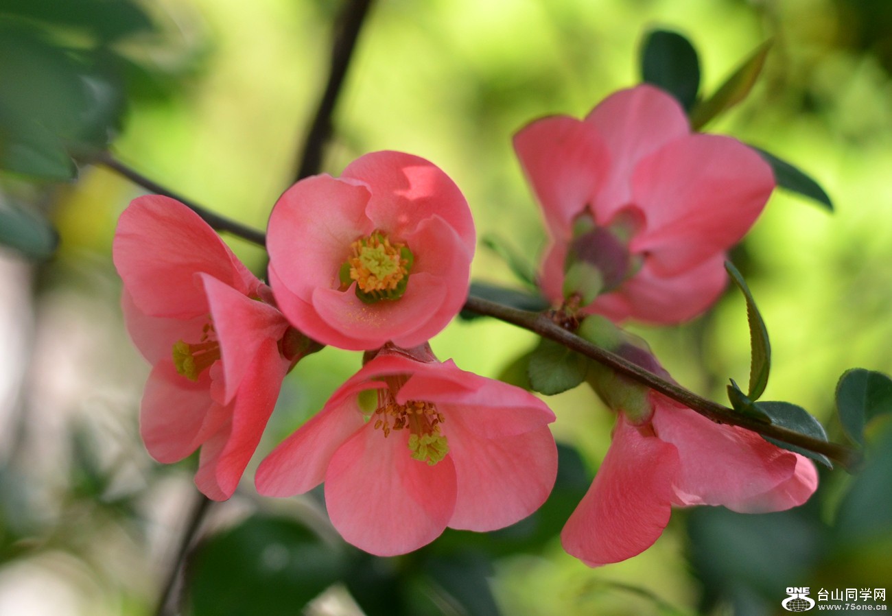 DSC_2820_41.jpg