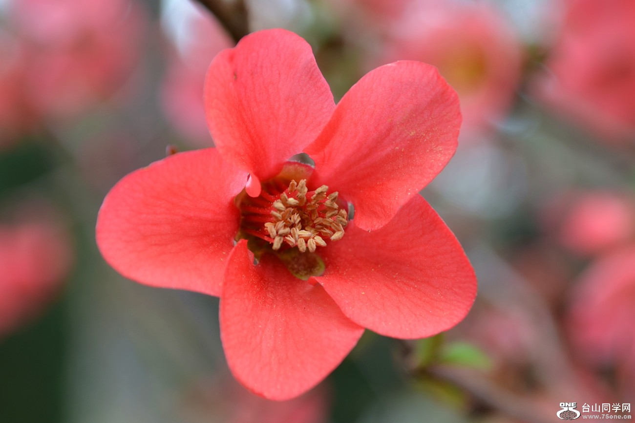 DSC_2710_56.jpg
