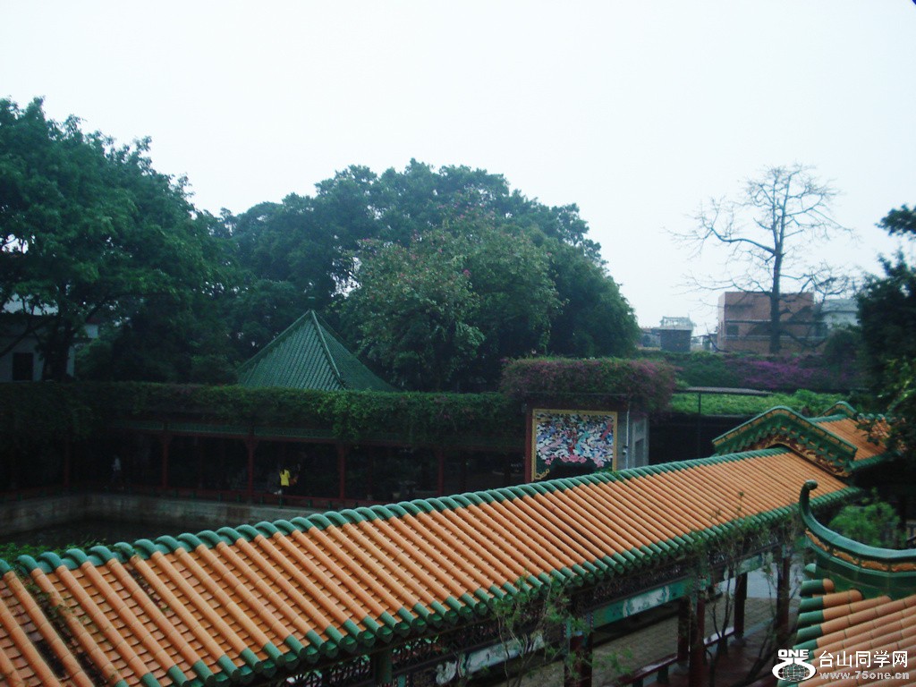 DSC00201.jpg