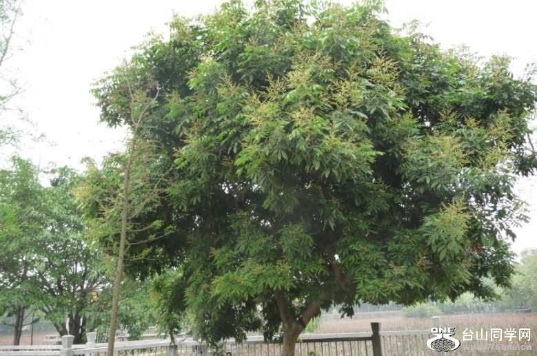 P1080673ۻ.jpg