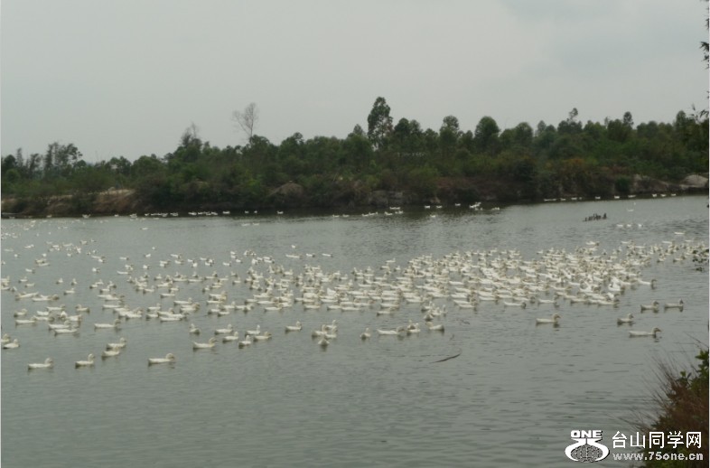 P1080670ȺѼ.jpg