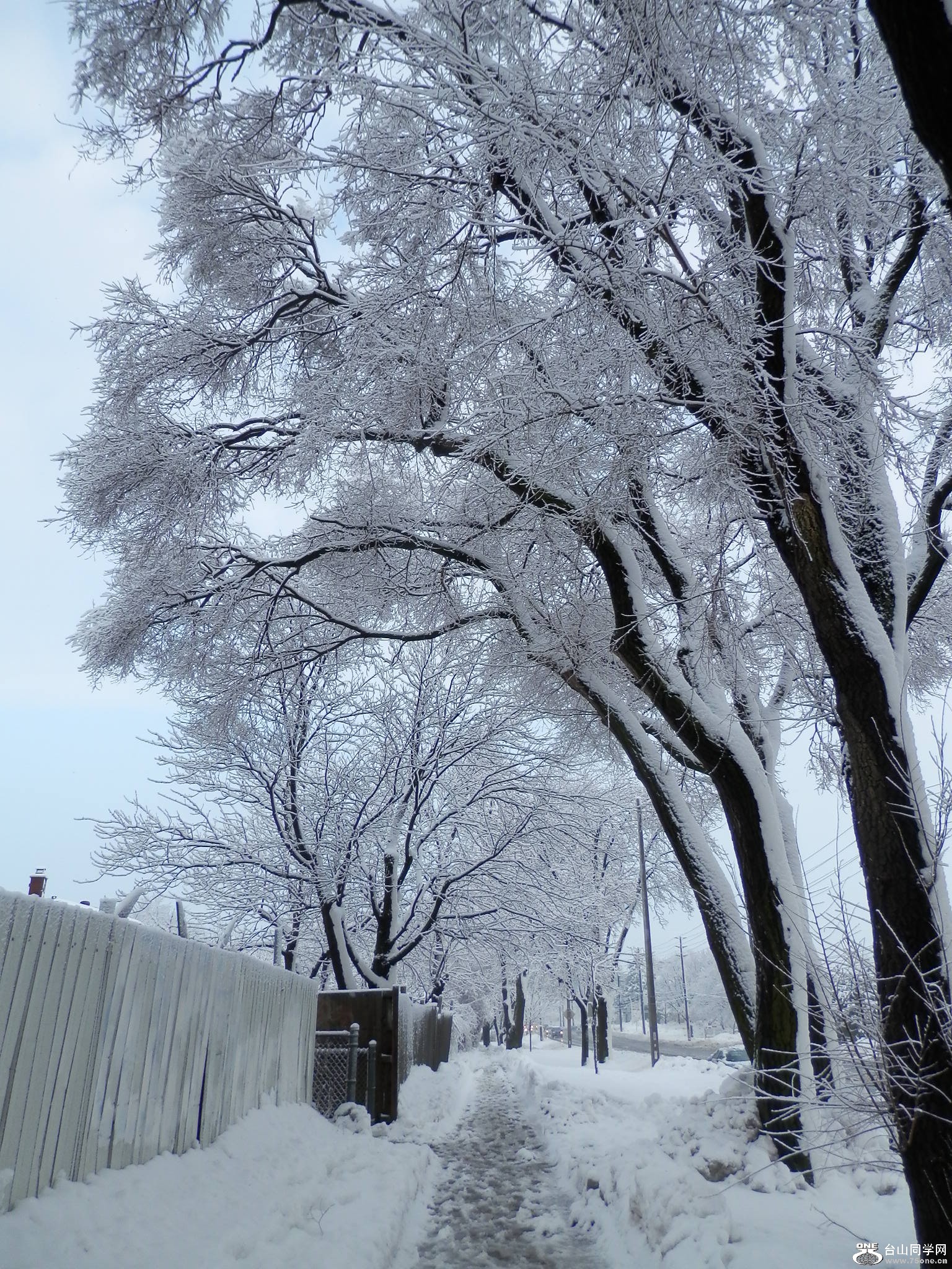 yɫ 044.JPG