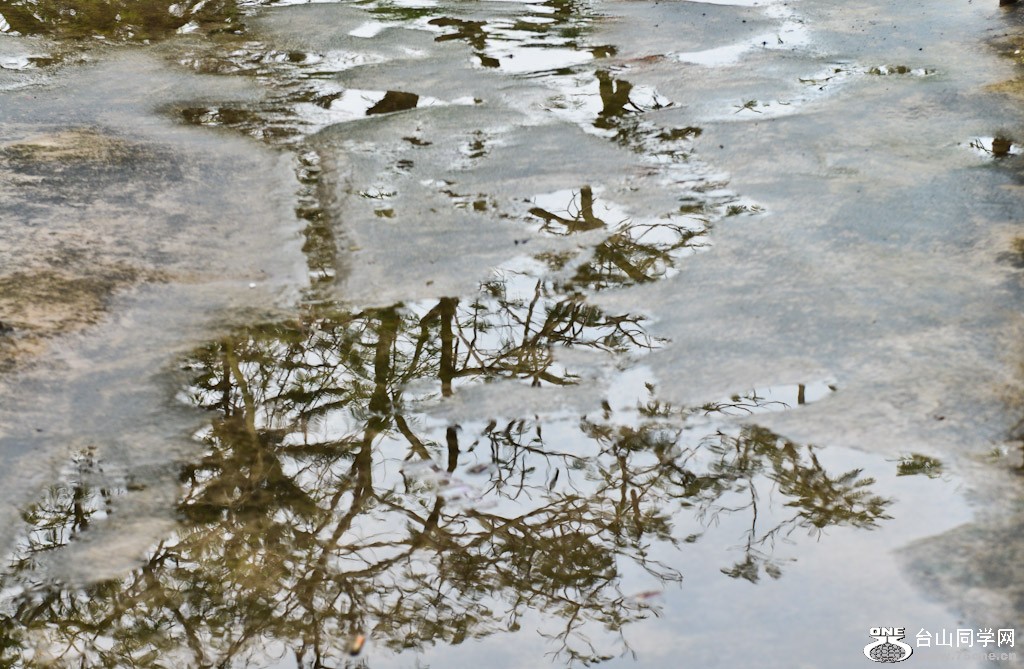 DSC_4343.jpg