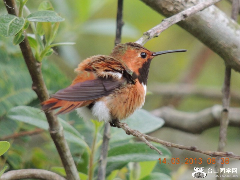 bird 1600_.jpg