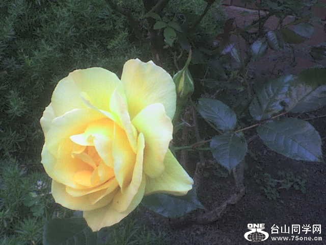 DSC00059.JPG