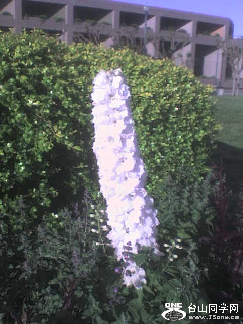 DSC00049.JPG