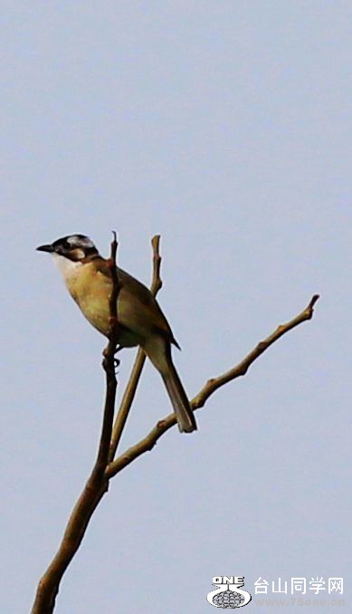 IMG_3252.jpg