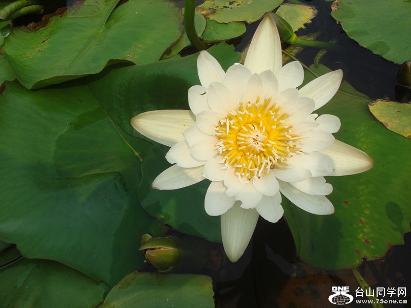 DSC01339_.jpg