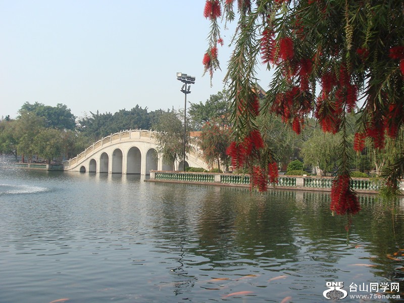 DSC01213_.jpg