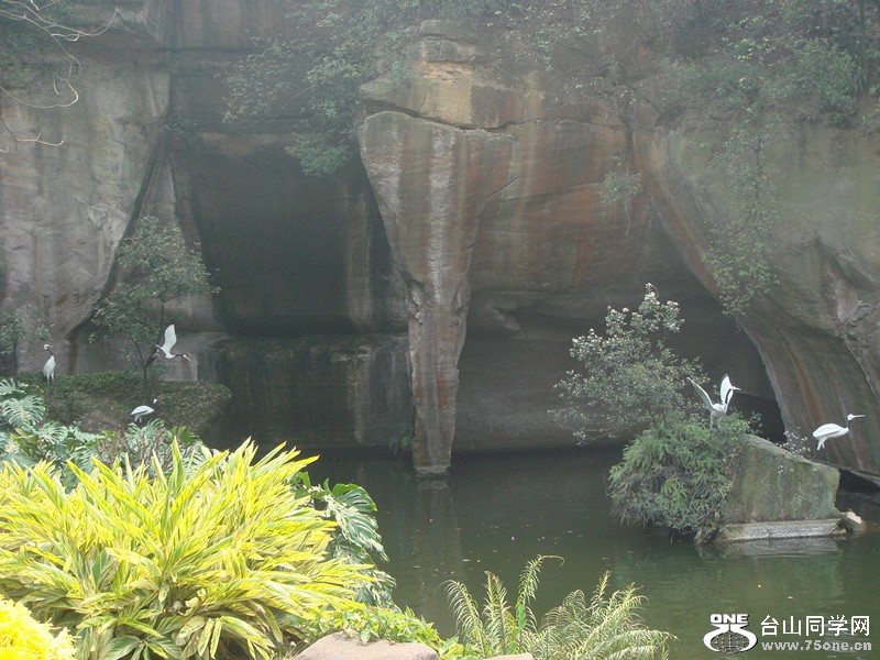 DSC01342_.jpg