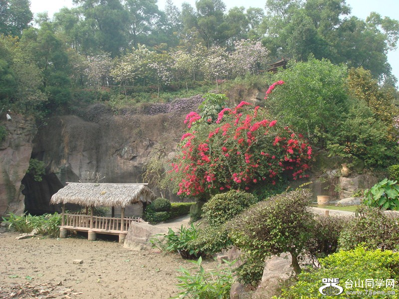 DSC01341_.jpg