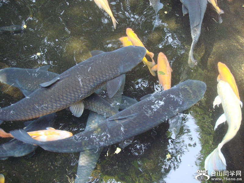 DSC01273_.jpg