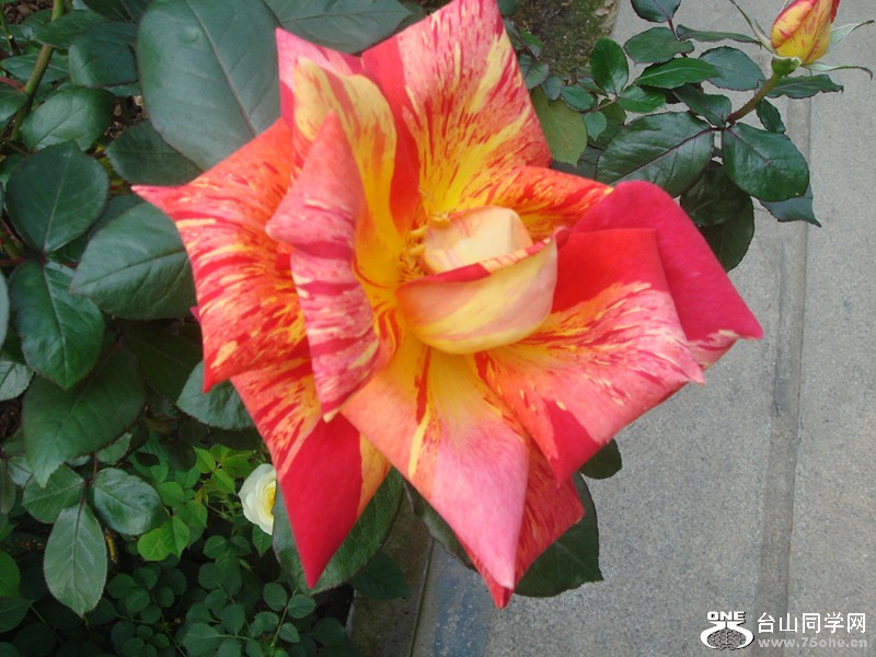 DSC01246_.jpg