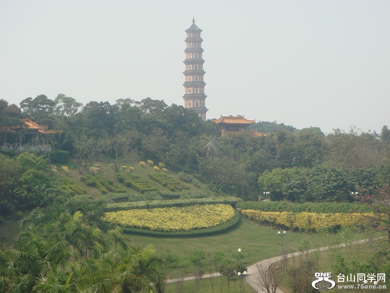 DSC01325_.jpg