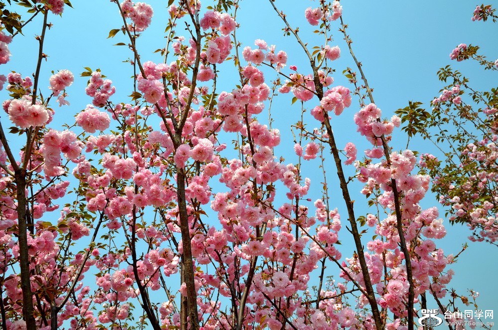 DSC_2824.jpg