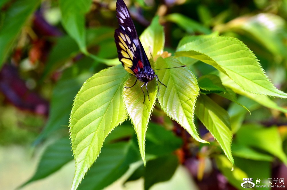 DSC_2722.jpg