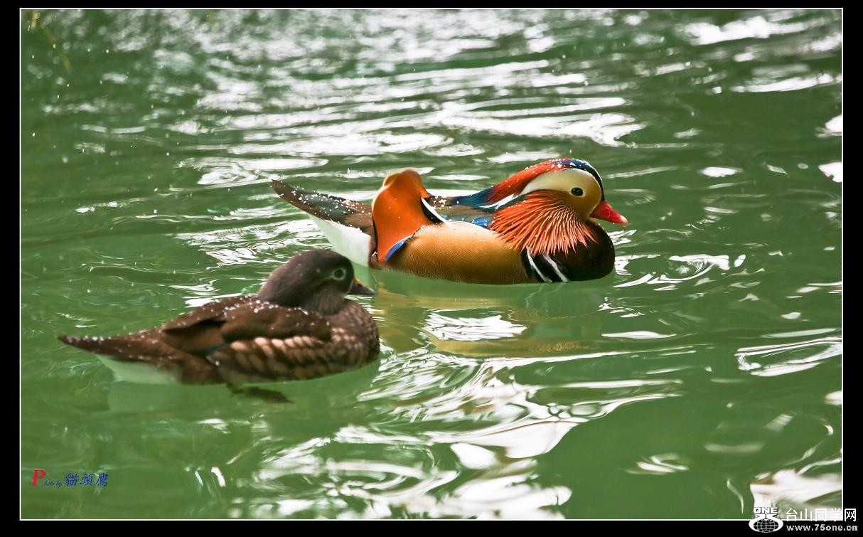 �}�u -61-037-1.jpg