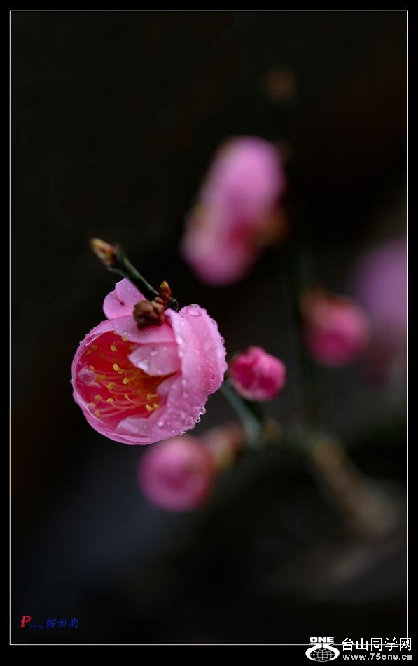 �}�u -�}�u -33-087-6.jpg