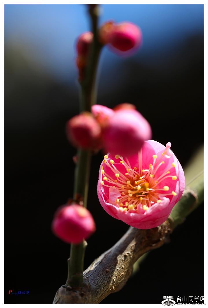 �}�u -01-059-1.jpg