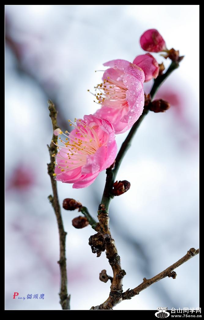 �}�u (2) -40-137-2.jpg