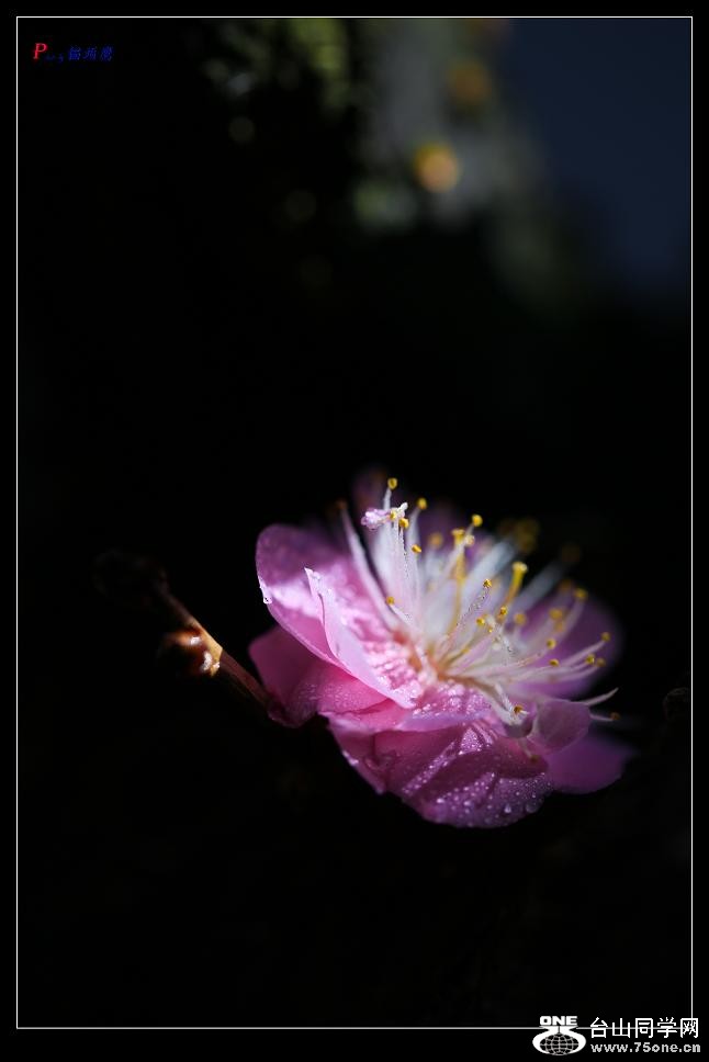 �}�u -44-245-1.jpg