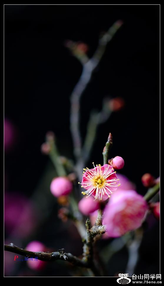 �}�u -36-212-2.jpg