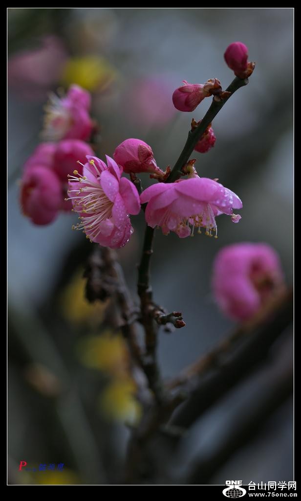 �}�u -35-130-2.jpg