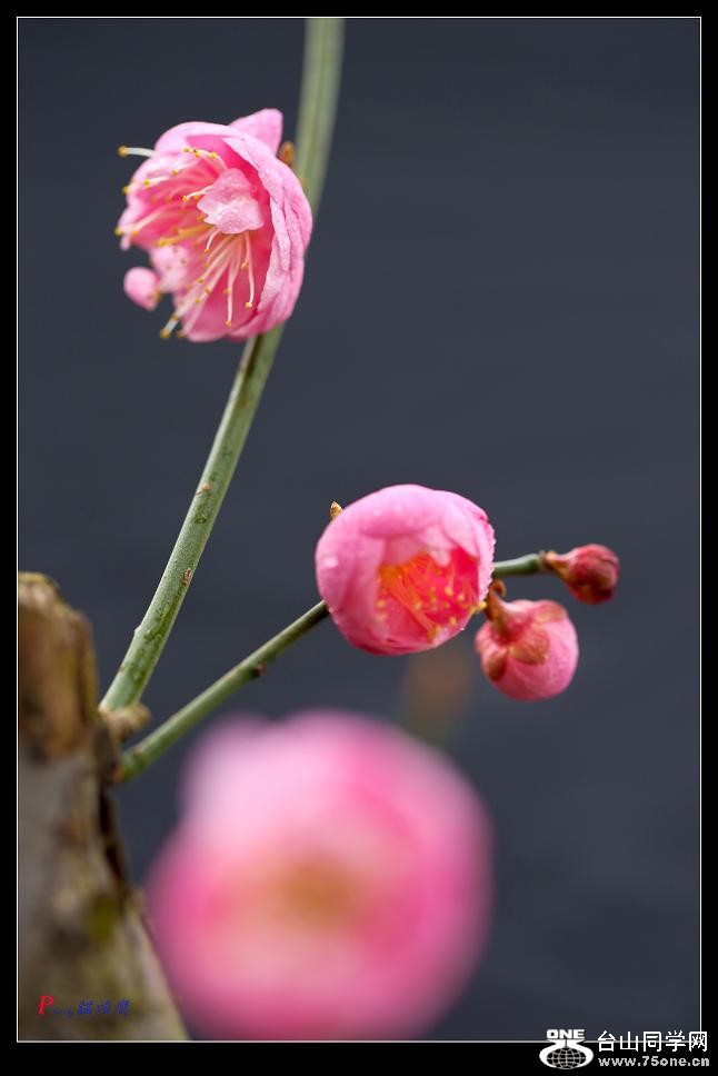 �}�u -38-024-2.jpg