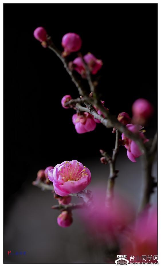 �}�u -29-121-3.jpg