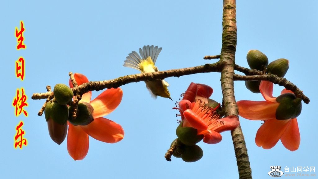 DSC_0335_conew1.jpg