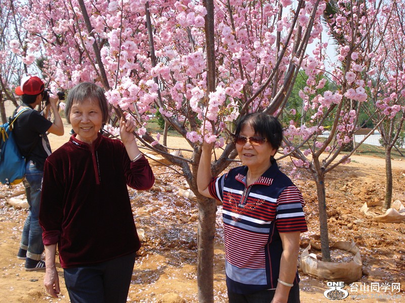 DSC04325_.jpg