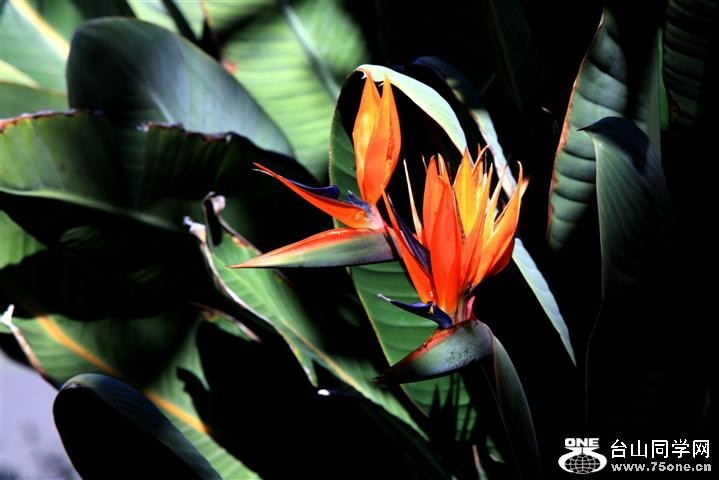 IMG_20344 (Small).jpg