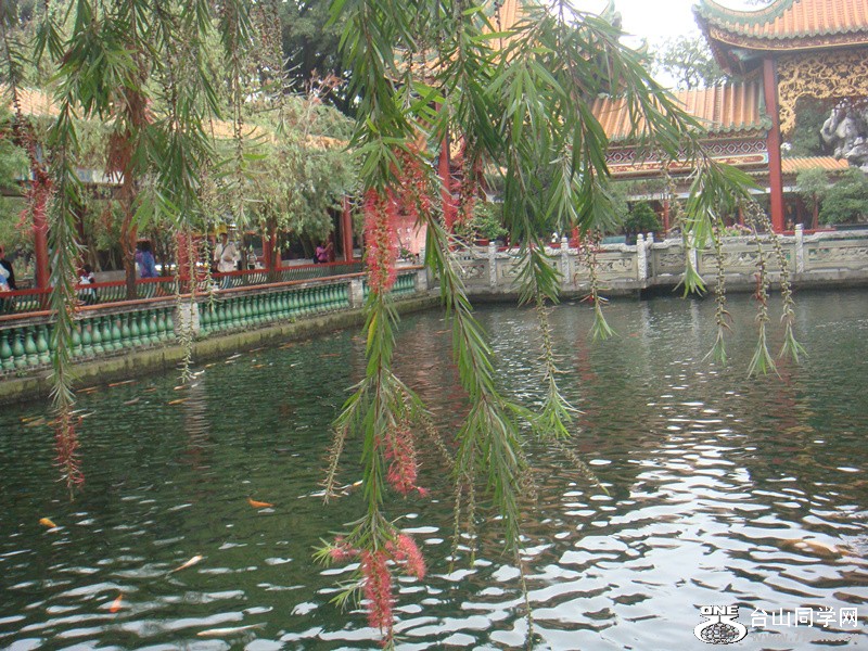 DSC04598_.jpg