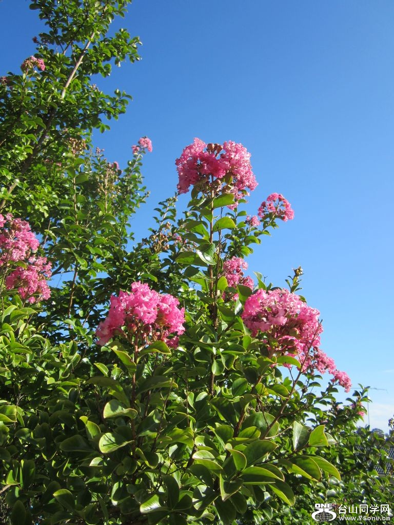 IMG_1742.JPG
