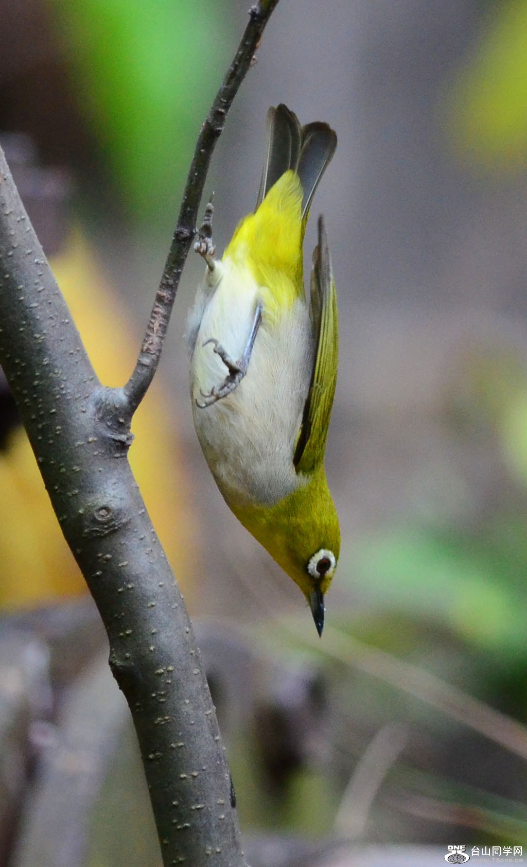 DSC_6202.jpg