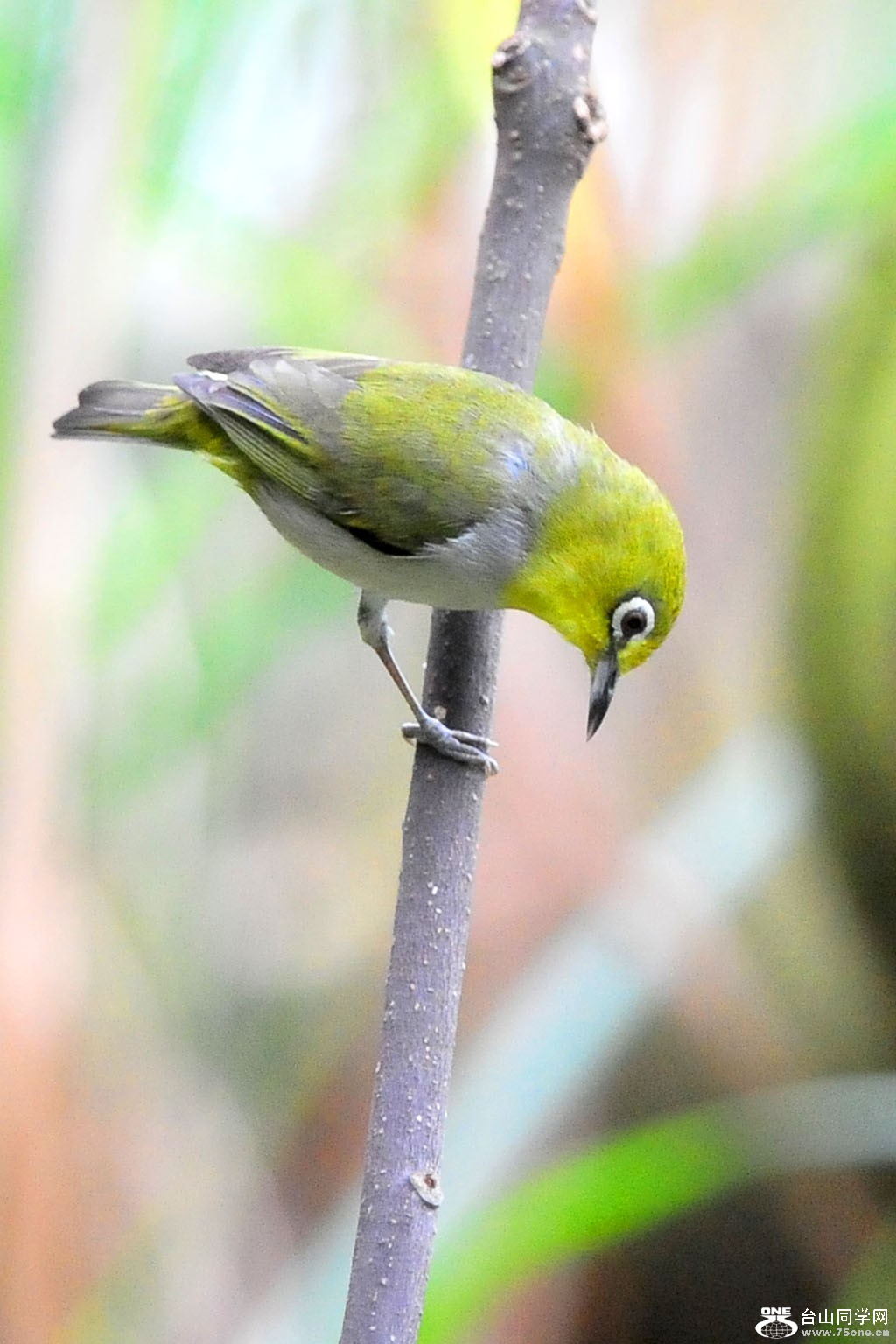 DSC_2209.jpg