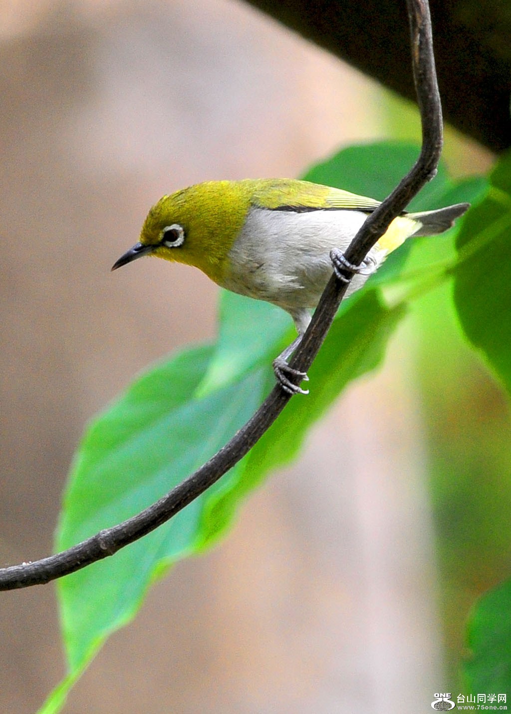 DSC_2170.jpg