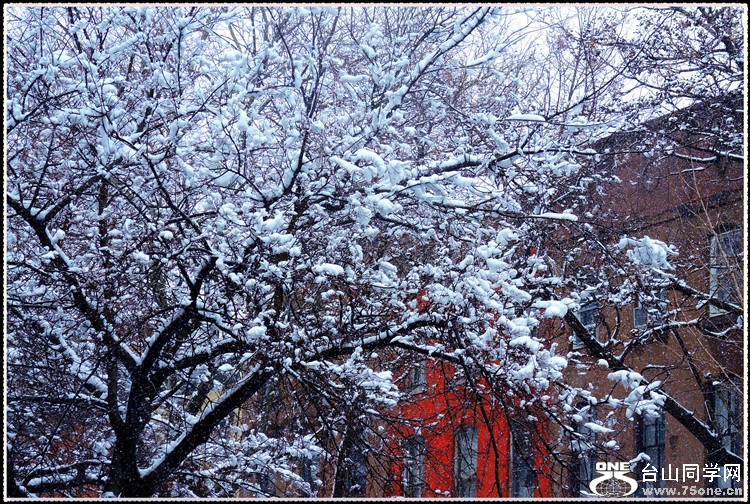 DSCN5541.jpg