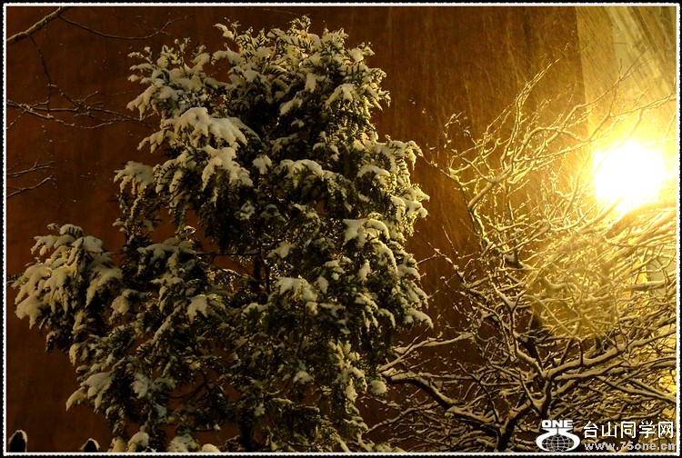 DSCN5924.jpg
