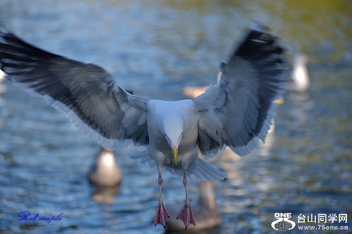 DSC_1144_.jpg