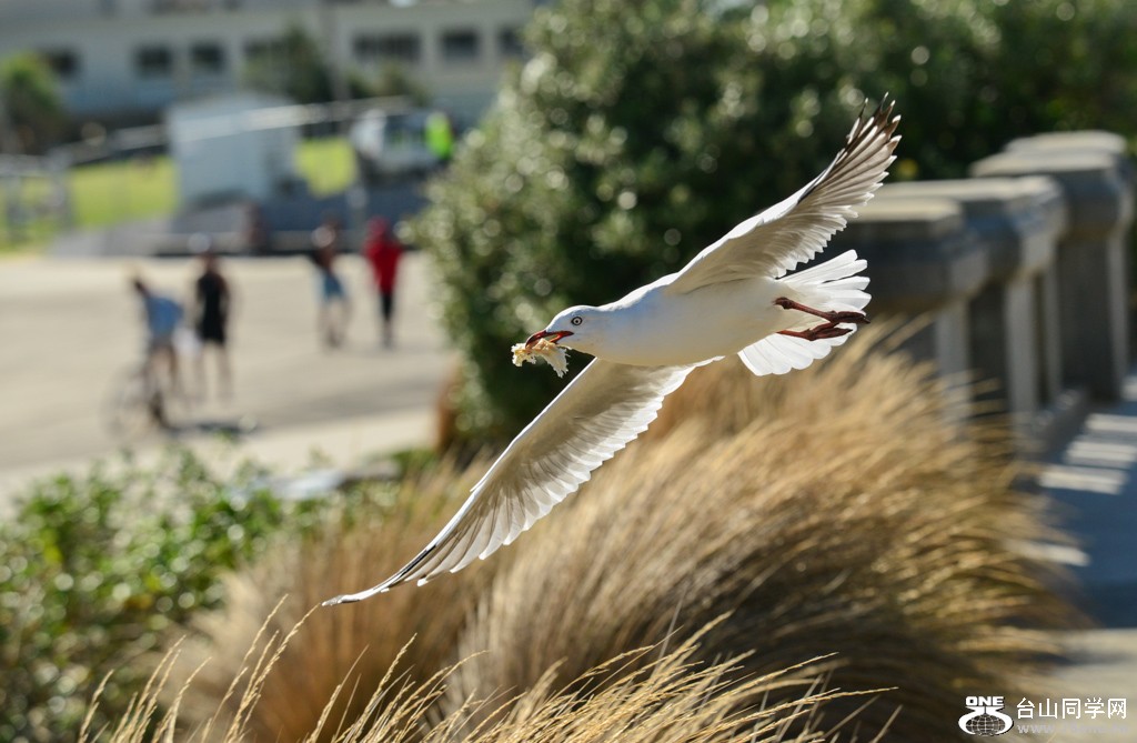 DSC_8594.jpg