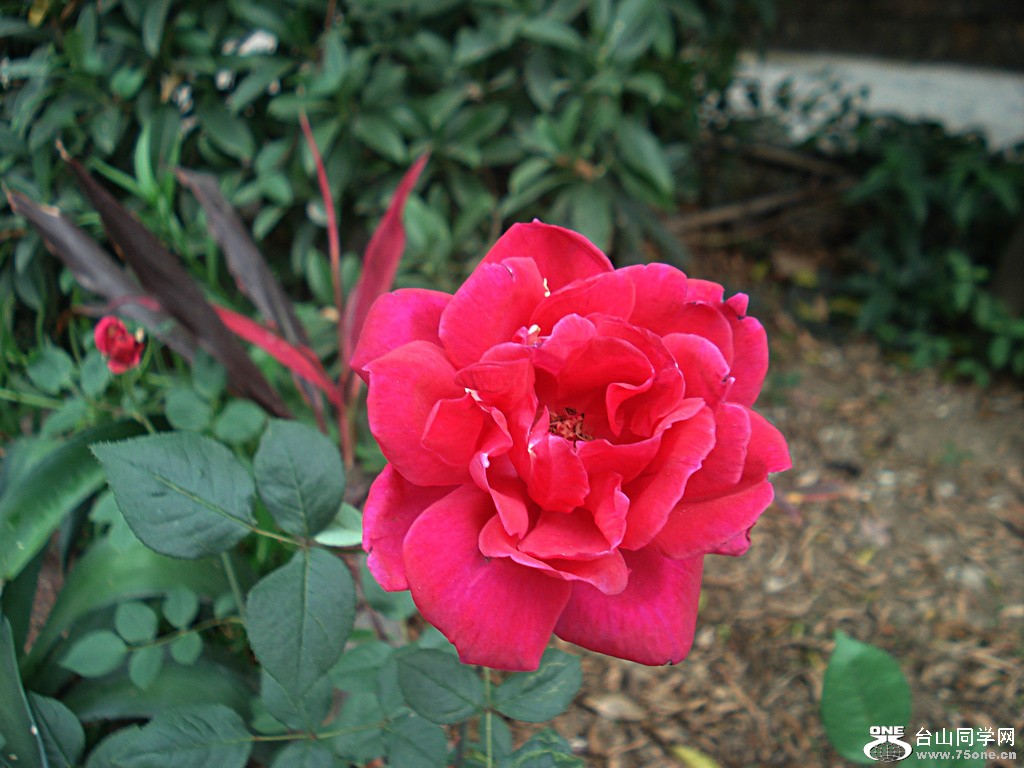DSC00138.JPG